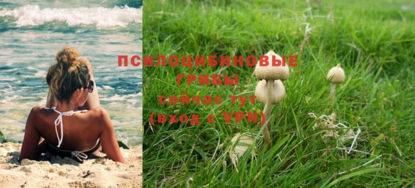твердый Алексин