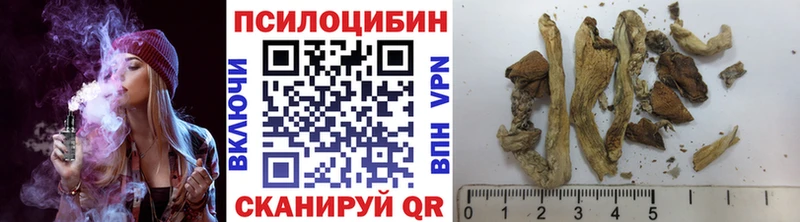 Галлюциногенные грибы GOLDEN TEACHER  сколько стоит  Ишим 