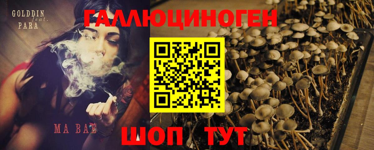 Псилоцибиновые грибы прущие грибы Ишим