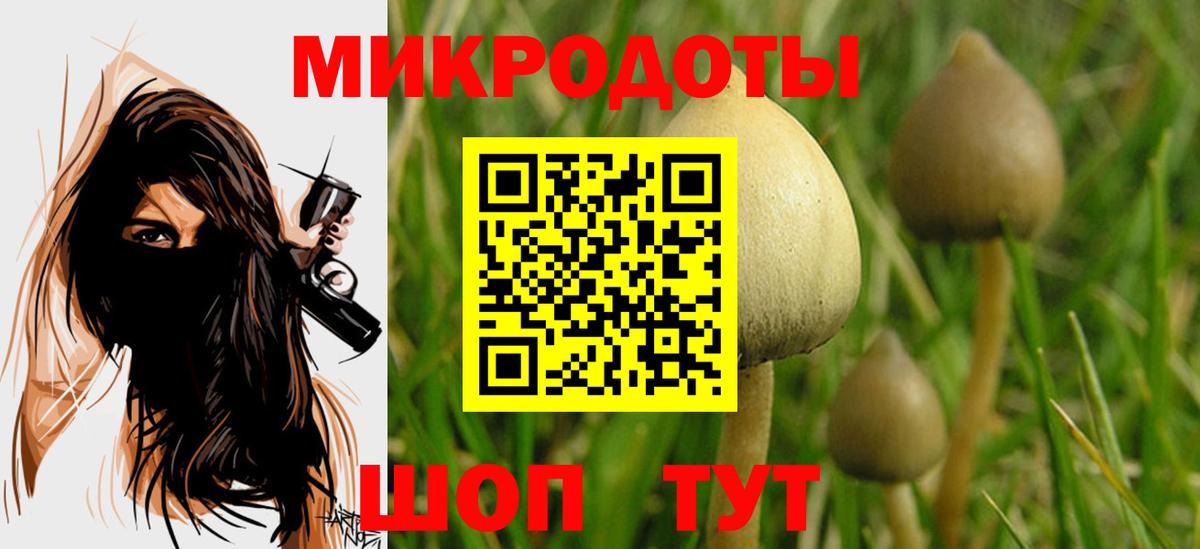 Ишим  Псилоцибиновые грибы Psilocybe  Вход с VPN 